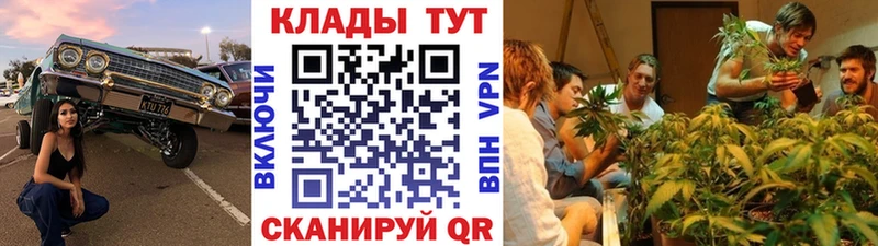 Где купить Саранск Бошки Шишки Мефедрон ГАШИШ