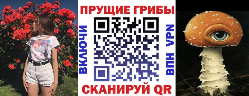 Псилоцибиновые грибы прущие грибы  Саранск 